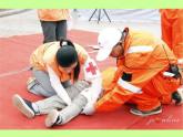 湘美版二年級(jí)美術(shù)上冊(cè)課件 17.看醫(yī)生