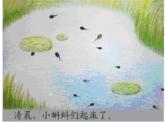 湘美版二年級(jí)美術(shù)上冊(cè)課件 10.小蝌蚪