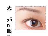 湘美版一年級美術(shù)上冊 4.大眼睛課件PPT