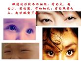 湘美版一年級美術(shù)上冊 4.大眼睛課件PPT