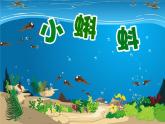 湘美版二年級(jí)美術(shù)上冊(cè)課件 10.小蝌蚪