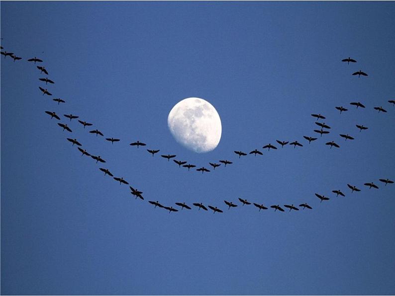 湘美版二年级美术上册课件 11.点点聚会第3页