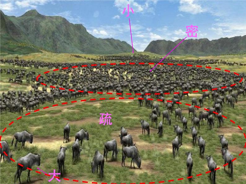 湘美版二年级美术上册课件 11.点点聚会第7页