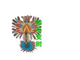 湘美版二年級美術(shù)上冊課件 15.神鳥變樹