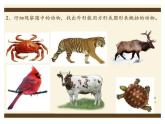湘美版三年級(jí)美術(shù)上冊課件 第3課 方方圓圓
