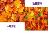 湘美版三年级美术上册课件 第11课 留住秋天