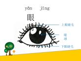 湘美版一年級美術(shù)上冊 4.大眼睛課件PPT