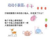 湘美版二年級(jí)美術(shù)上冊(cè)課件 16.小小手