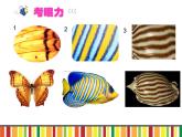 湘美版二年級美術(shù)上冊課件 7.條紋乖乖