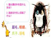 湘美版三年級(jí)美術(shù)上冊課件 第3課 方方圓圓