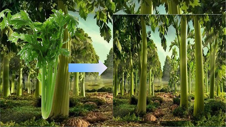 湘美版四年级美术上册课件 第15课 这个地方有点怪05