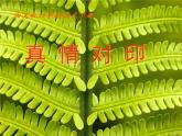 湘美版四年級(jí)美術(shù)上冊課件 第8課 色彩對(duì)“印”