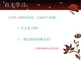 人教版小学六年级美术上册12保护文物课件 (20张)