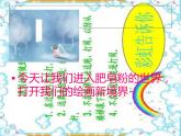 神奇的肥皂粉PPT課件免費(fèi)下載
