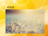人美版小學(xué)美術(shù)二年級(jí)上冊(cè)1.會(huì)變的線條 課件 (4)
