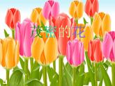人美版小學(xué)美術(shù)二年級上冊14茂密的花課件（39張）