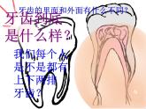 人美版小學(xué)美術(shù)二年級上冊第13課 刷牙 課件 (4)