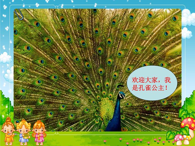 人美版小学二年级美术下册第19课　我喜欢的鸟 课件 (2)第5页