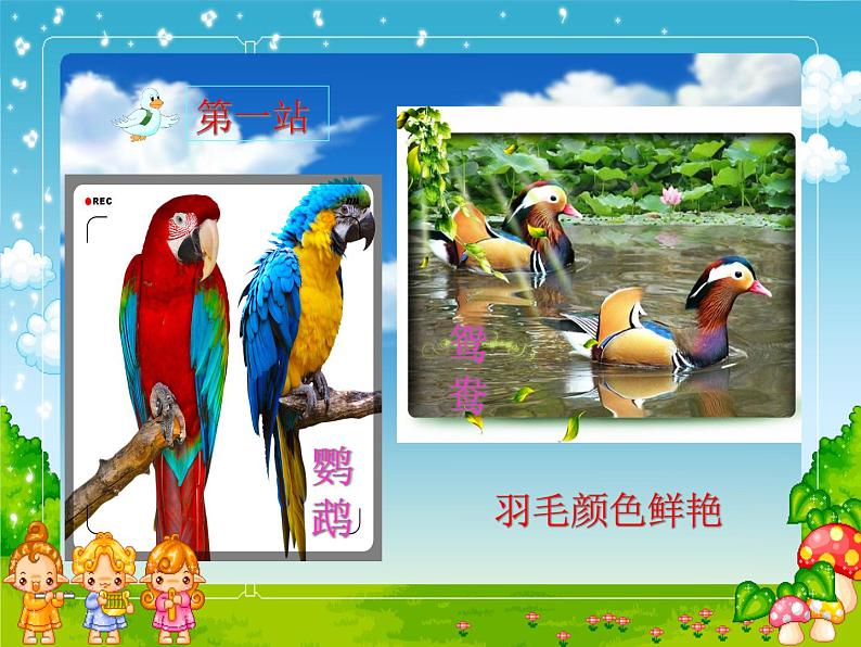人美版小学二年级美术下册第19课　我喜欢的鸟 课件 (2)第7页
