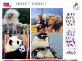 人美版小學(xué)二年級美術(shù)下冊第12課 和媽媽在一起 課件(13張PPT)