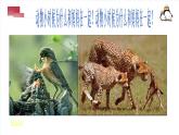 人美版小學(xué)二年級美術(shù)下冊第12課 和媽媽在一起 課件(13張PPT)