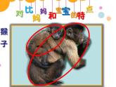 人美版小學(xué)二年級美術(shù)下冊第12課 和媽媽在一起 課件(13張PPT)