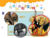 人美版小學(xué)二年級美術(shù)下冊第12課　和媽媽在一起 課件 (1)
