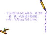 人美版小學(xué)二年級美術(shù)下冊第19課　我喜歡的鳥 課件 (4)
