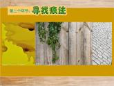 人美版小学美术二年级上册第9课 我们身边的痕迹 课件 (2)