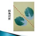 人美版小學(xué)美術(shù)三年級(jí)上冊(cè)第12課 對(duì)印版畫(huà) 課件 (3)
