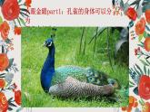 人美版小學(xué)美術(shù)三年級(jí)上冊(cè)第10課 民間面塑  課件（10 張PPT）