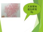 人美版小學美術三年級上冊第11課 拓印樹葉真有趣 課件 (3)