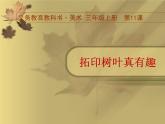 人美版小學(xué)美術(shù)三年級上冊第11課 拓印樹葉真有趣 課件 (2)