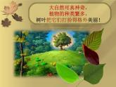 人美版小學(xué)美術(shù)三年級上冊第11課 拓印樹葉真有趣 課件 (2)