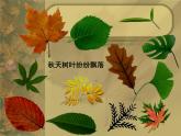 人美版小學(xué)美術(shù)三年級上冊第11課 拓印樹葉真有趣 課件 (1)