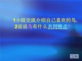 人美版小學(xué)二年級美術(shù)下冊第19課　我喜歡的鳥 課件 (1)