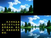 人美版小學(xué)二年級美術(shù)下冊第17課 畫影子 課件 (4)