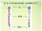 人美版小学二年级美术下册第6课　节节虫 课件 (5)