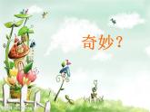人美版小學(xué)美術(shù)一年級(jí)下冊(cè)11. 奇妙的爬行 課件