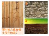 人美版小學(xué)美術(shù)一年級下冊2. 長呀長 課件