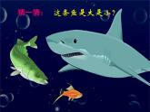 人美版小學(xué)美術(shù)一年級(jí)上冊(cè)第17課 誰(shuí)畫(huà)的魚(yú)最大 課件 (3)
