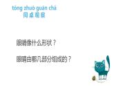 湘美版一年級美術(shù)上冊 4.大眼睛課件PPT