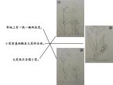 湘美版四年級(jí)美術(shù)上冊(cè) 第3課 周末日記課件PPT