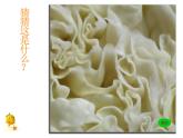 湘美版三年級美術(shù)上冊 第6課 新發(fā)現(xiàn)課件PPT