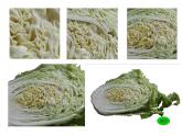 湘美版三年級美術(shù)上冊 第6課 新發(fā)現(xiàn)課件PPT
