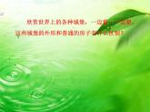 湘美版三年級美術(shù)上冊 第14課 紙盒之城課件PPT