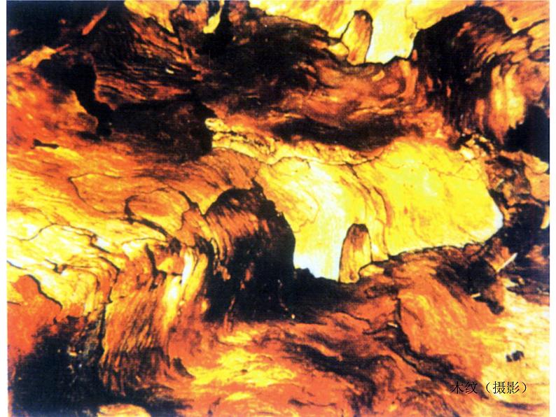 人教版五年级美术上册课件 第7课 无笔画04