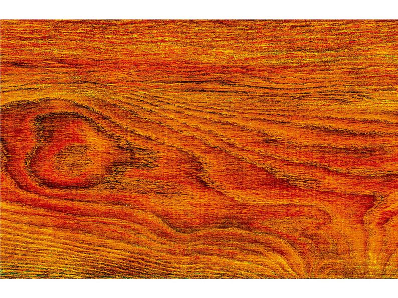 人教版五年级美术上册课件 第7课 无笔画05