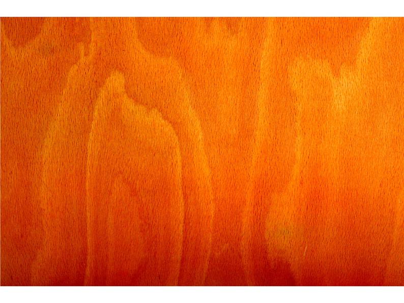 人教版五年级美术上册课件 第7课 无笔画06