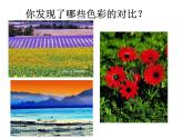人教版五年级美术上册课件 第1课 色彩的对比